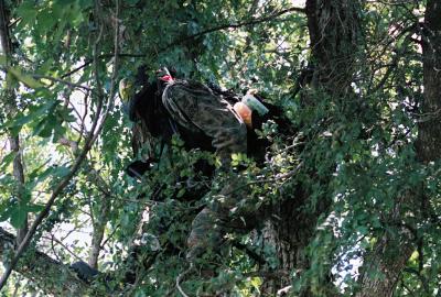 A BOHICA Red team member takes a birds eye view