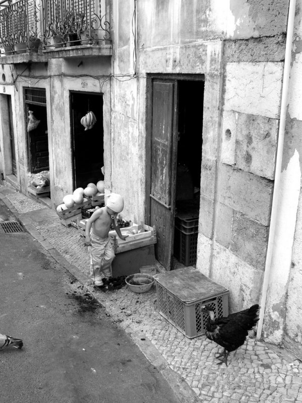 Local market scene (Lisbon)