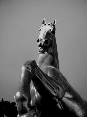Milan- Leonardos Horse