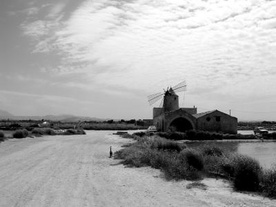 Trapani