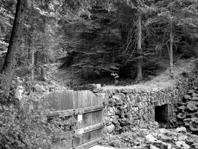 Valle di Non