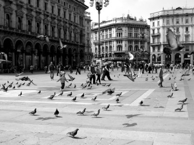 Chasing the birds (Milan)