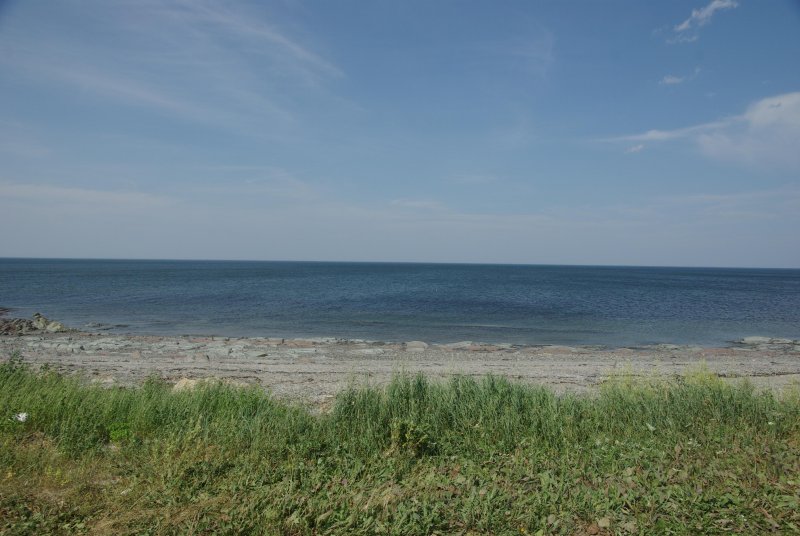 IMGP1054_GF.jpg
