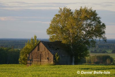 Petite grange