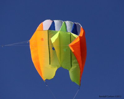IMG_0116.jpg