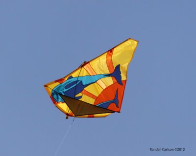 IMG_0132.jpg