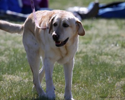 IMG_0350.jpg
