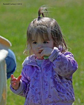 IMG_0462.jpg