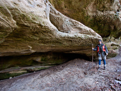 Sheltowee Shelf Arch