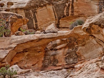 Muley Twist Canyon Arch