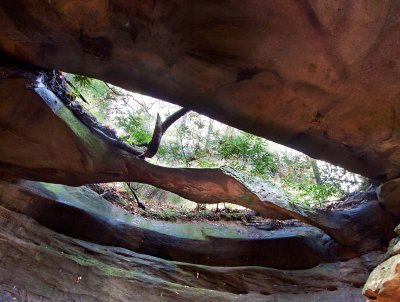 Corkscrew Double Arch