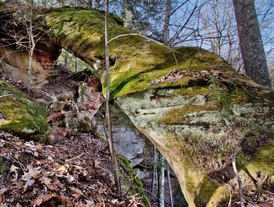 Fin Arch above Camp Rock Arch