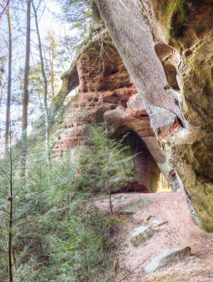 Camp Rock Arch