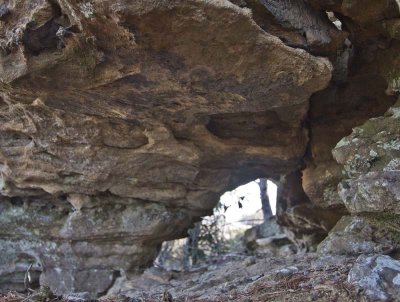 Rattlesnake Arch