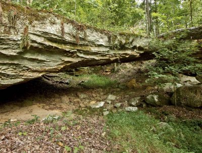 Edmonson County Arches