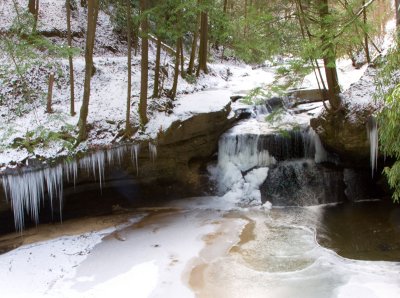 Creation Falls in January