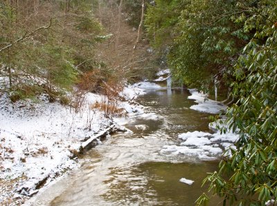 Swift Camp Creek