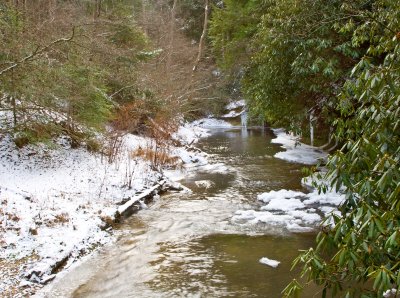 Swift Camp Creek