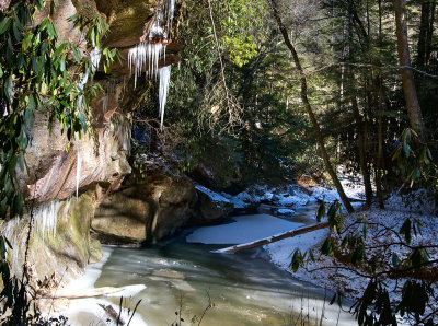 Swift Camp Creek