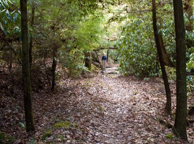 Whittleton Arch Trail