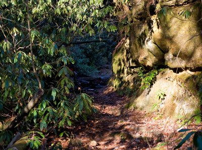 Whittleton Arch Trail