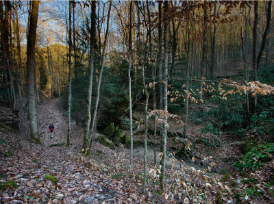 Whittleton Arch Trail