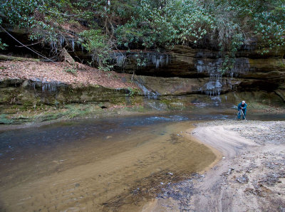 On Swift Camp Creek