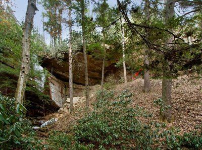 On Sheltowee Trace