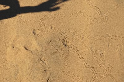 Footprints
