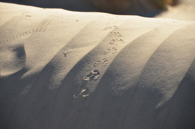 Footprints