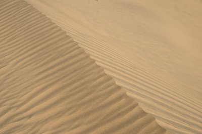 _