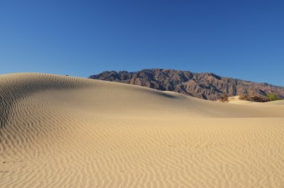 _