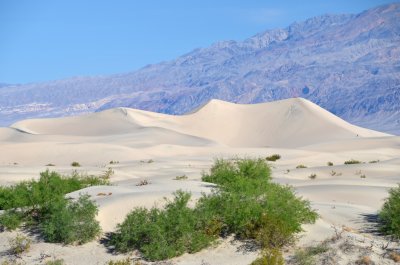 Star Dune