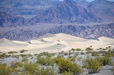 Star Dune