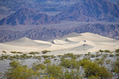 Star Dune
