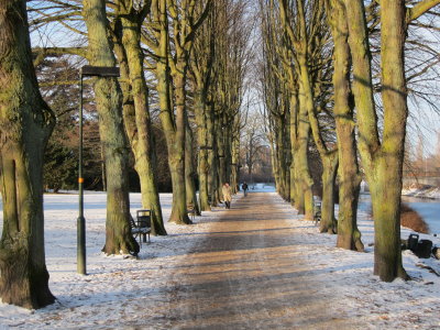 Kungsparken