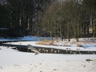 Kungsparken