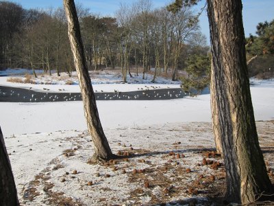 Kungsparken