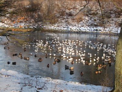 Slottsparken