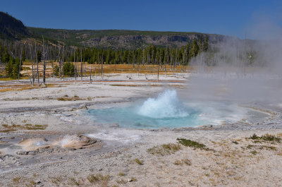 g4/24/745724/3/138510744.g9B2vusj.jpg