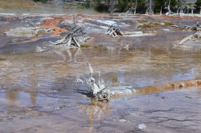 Fountain Paint Pot