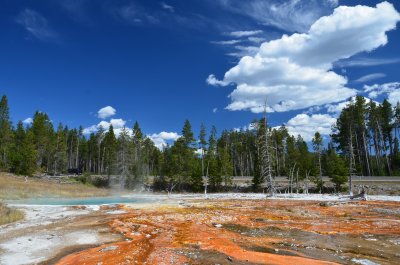 Fountain Paint Pot