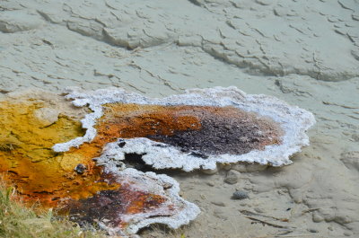 Fountain Paint Pot