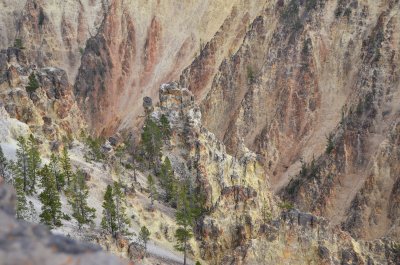 Cyn North Rim