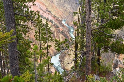 Cyn North Rim