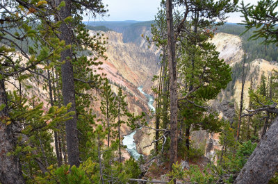 Cyn North Rim