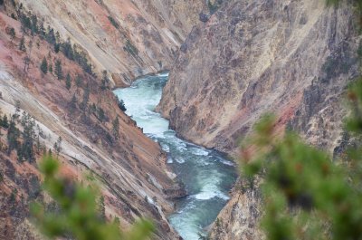 Cyn North Rim