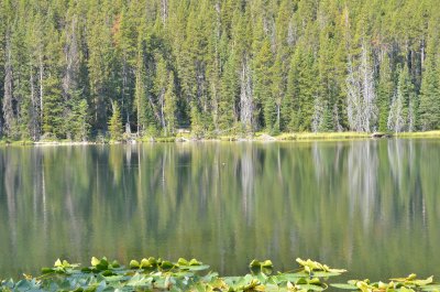 South Twin Lake