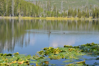South Twin Lake