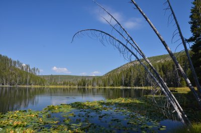 South Twin Lake